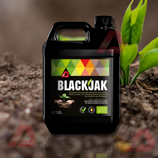 BLACKJAK - Erbicid Postemergent Porumb | BASF | 5 L