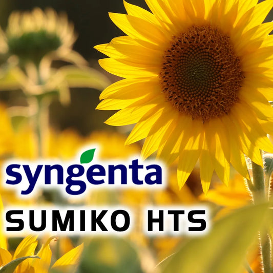 SUMIKO HTS